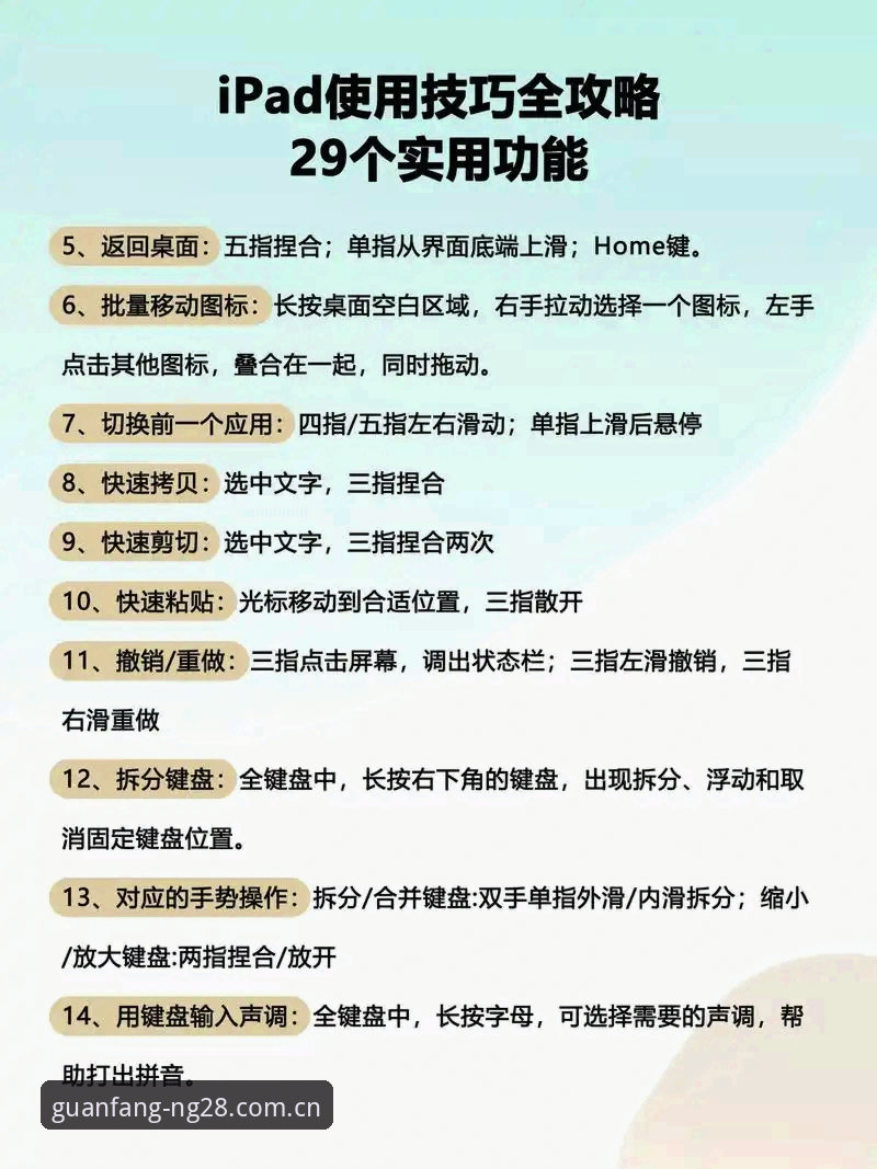 南宫28综合服务 南宫28平台综合服务使用指南:从入门到精通的完整教程